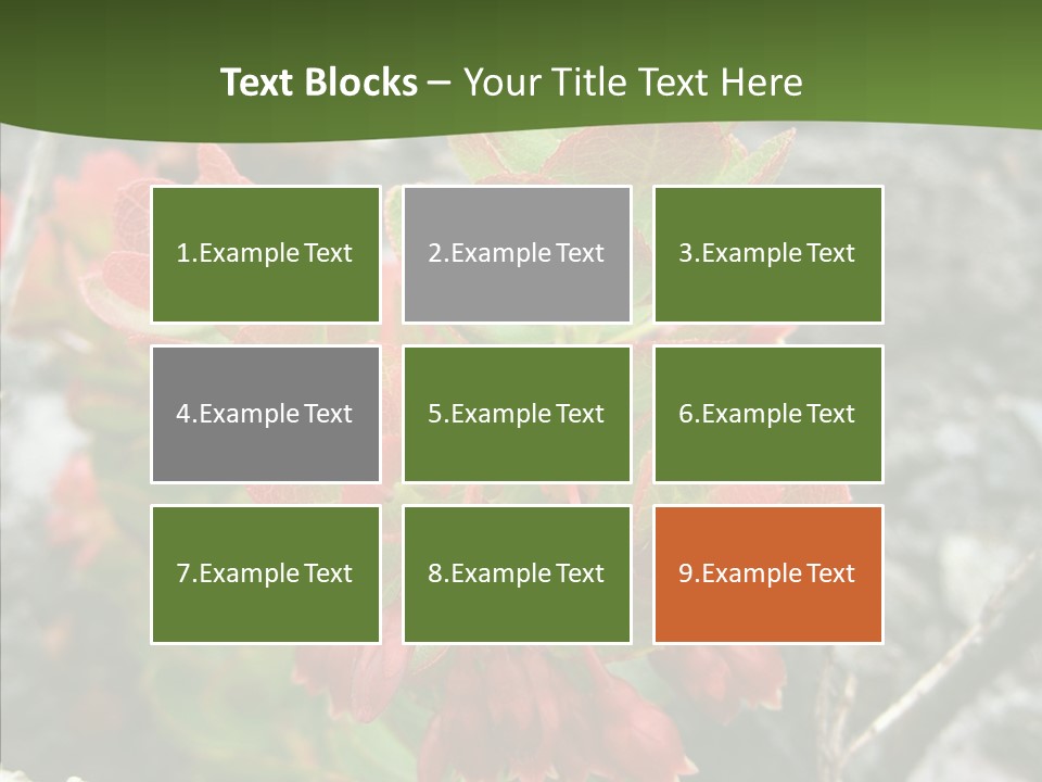 Hilo Hot National PowerPoint Template
