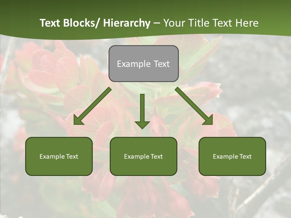 Hilo Hot National PowerPoint Template