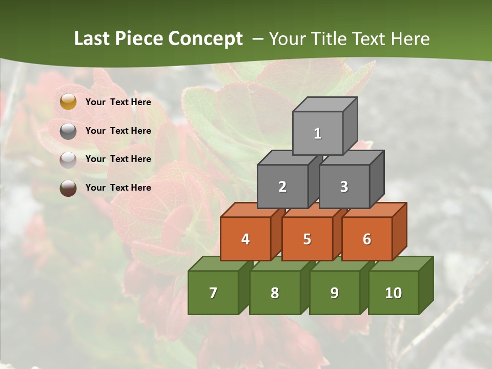Hilo Hot National PowerPoint Template