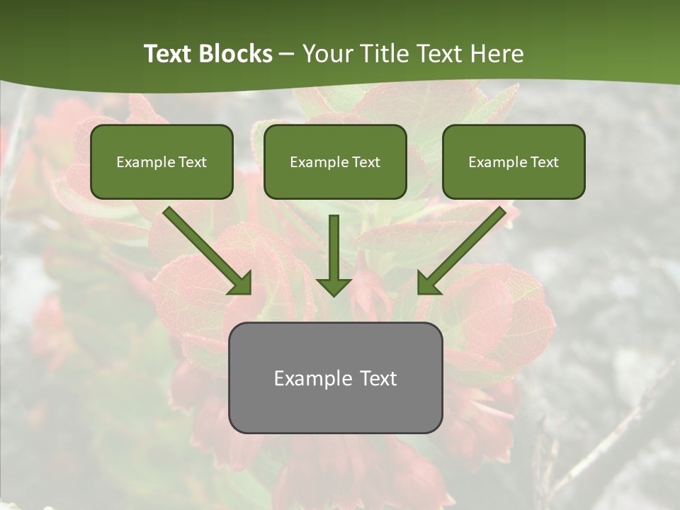 Hilo Hot National PowerPoint Template