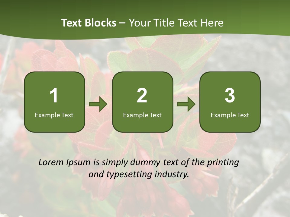 Hilo Hot National PowerPoint Template