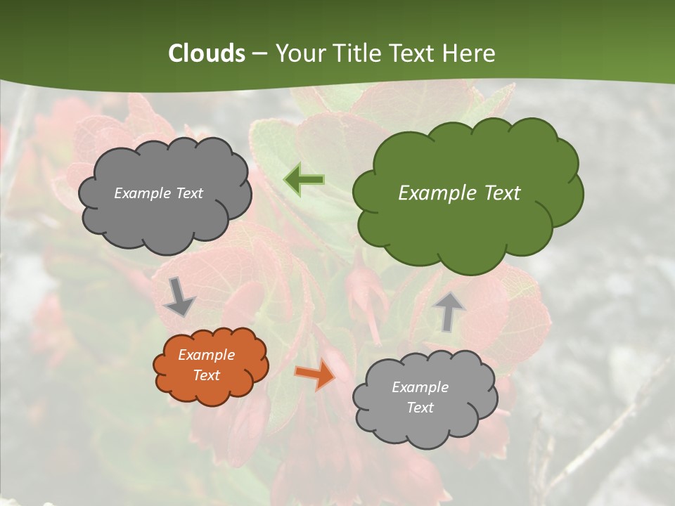 Hilo Hot National PowerPoint Template