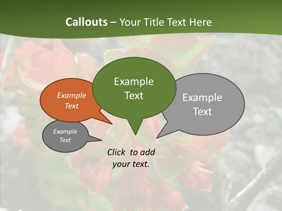 Hilo Hot National PowerPoint Template