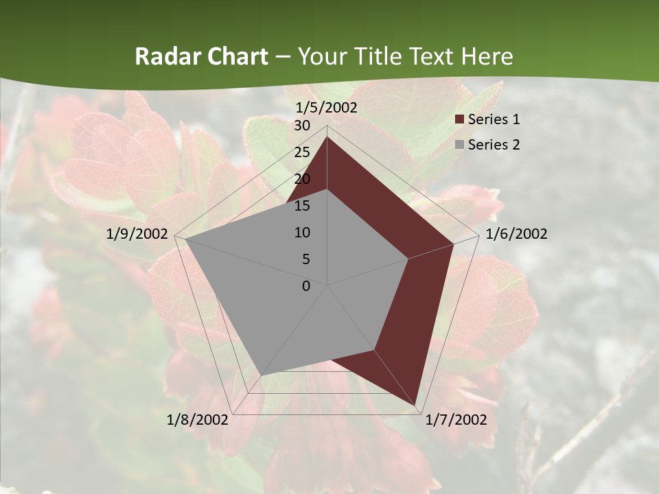 Hilo Hot National PowerPoint Template