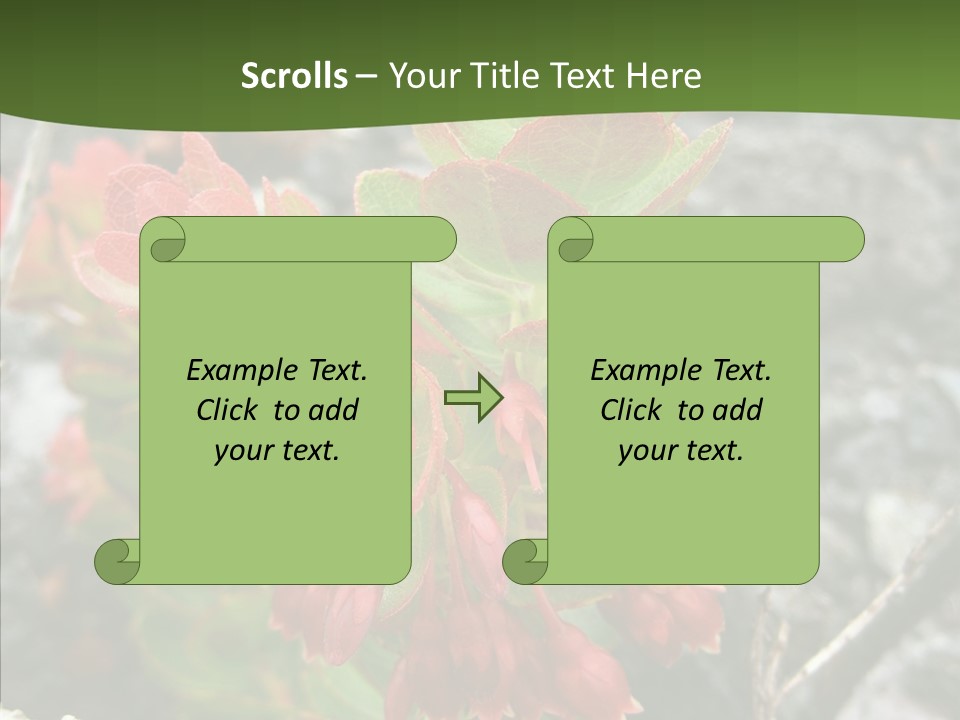 Hilo Hot National PowerPoint Template
