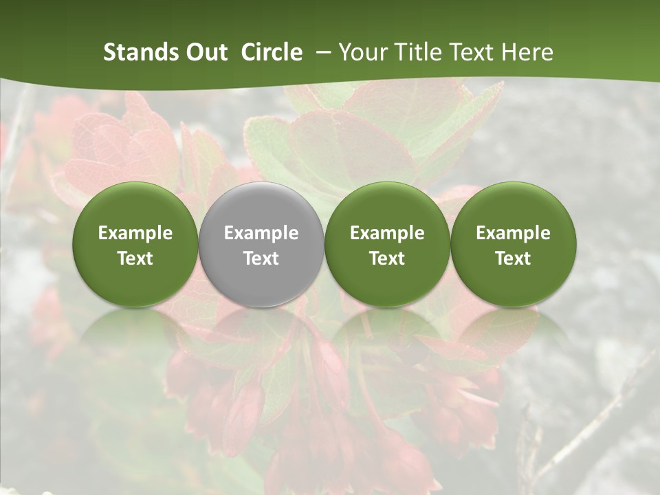 Hilo Hot National PowerPoint Template