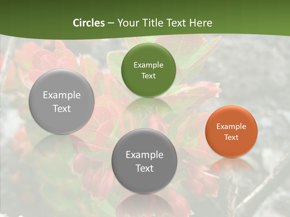 Hilo Hot National PowerPoint Template