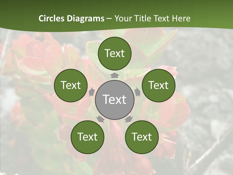 Hilo Hot National PowerPoint Template