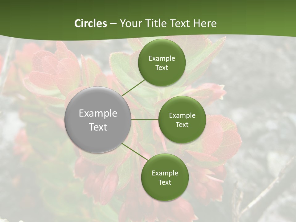 Hilo Hot National PowerPoint Template