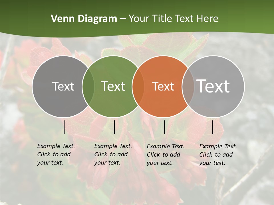 Hilo Hot National PowerPoint Template