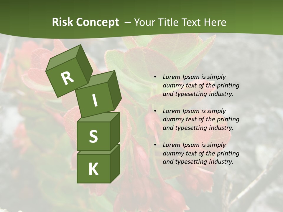 Hilo Hot National PowerPoint Template