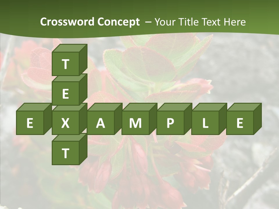 Hilo Hot National PowerPoint Template