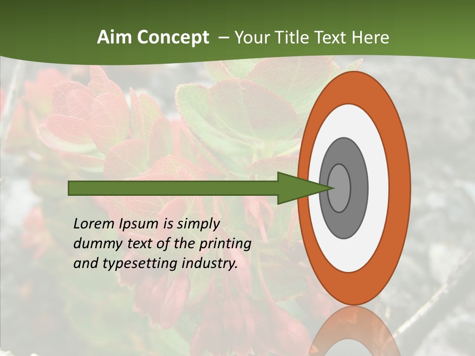 Hilo Hot National PowerPoint Template