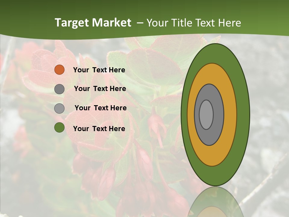 Hilo Hot National PowerPoint Template