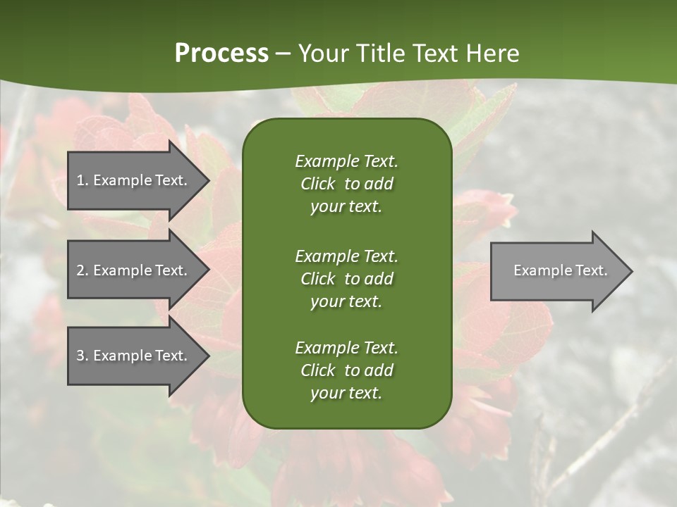 Hilo Hot National PowerPoint Template