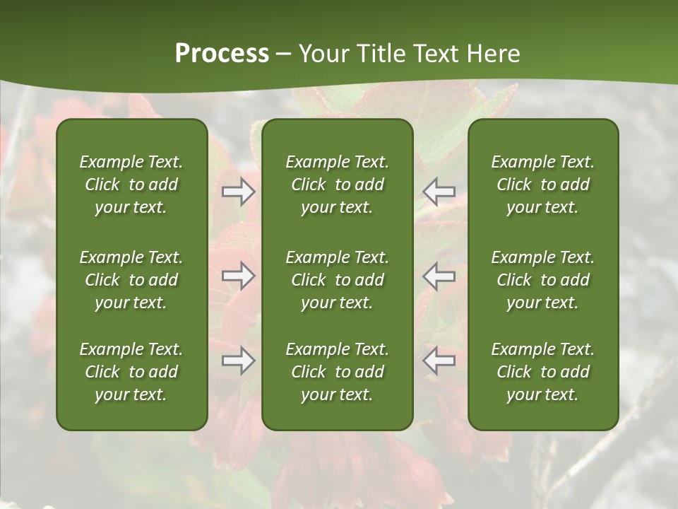 Hilo Hot National PowerPoint Template