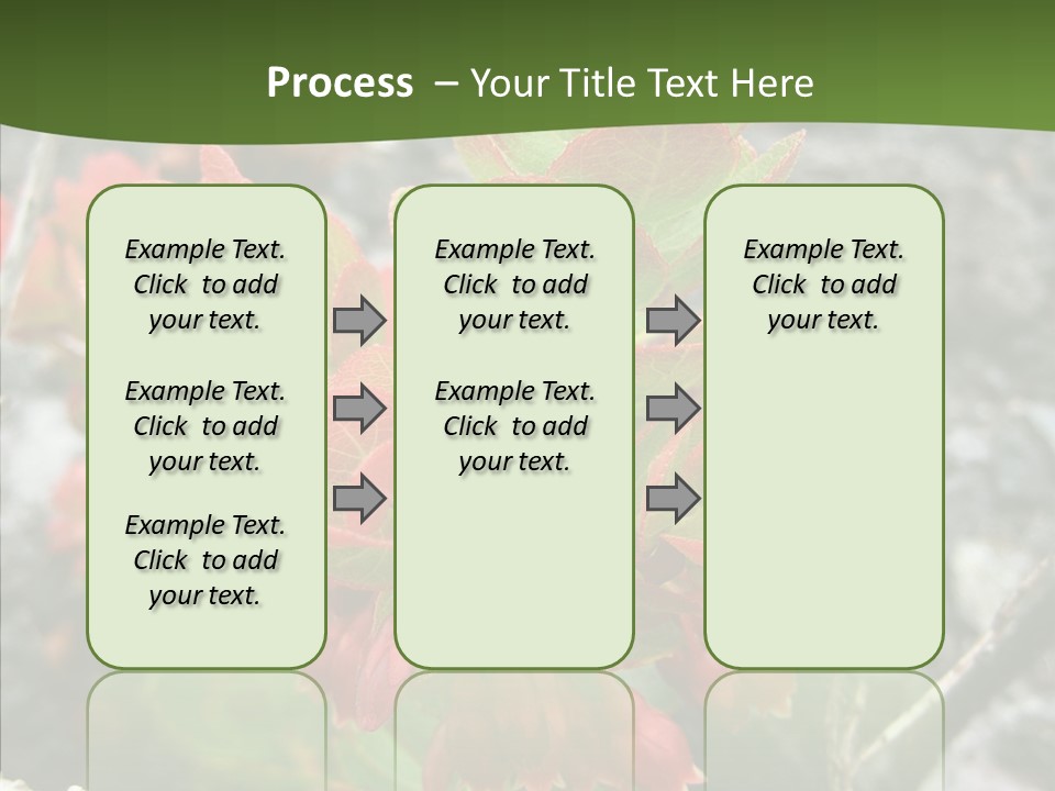 Hilo Hot National PowerPoint Template