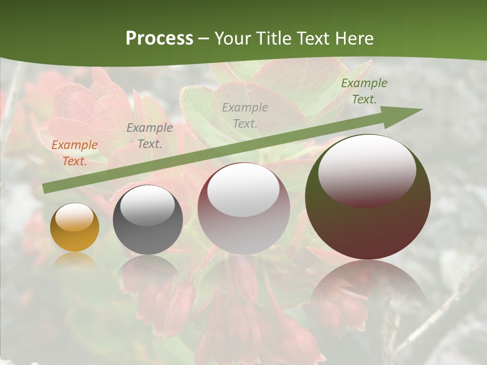 Hilo Hot National PowerPoint Template