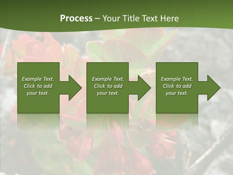 Hilo Hot National PowerPoint Template