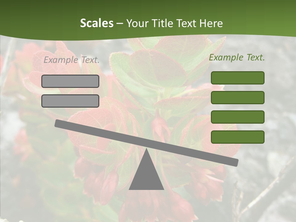 Hilo Hot National PowerPoint Template