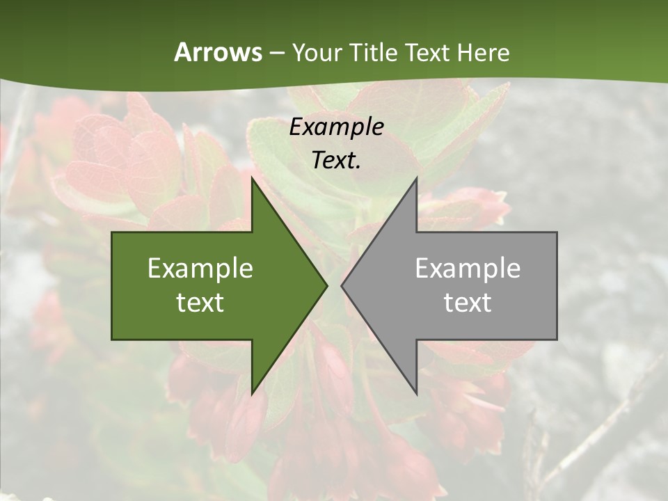 Hilo Hot National PowerPoint Template