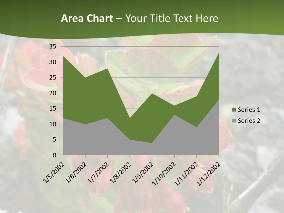 Hilo Hot National PowerPoint Template