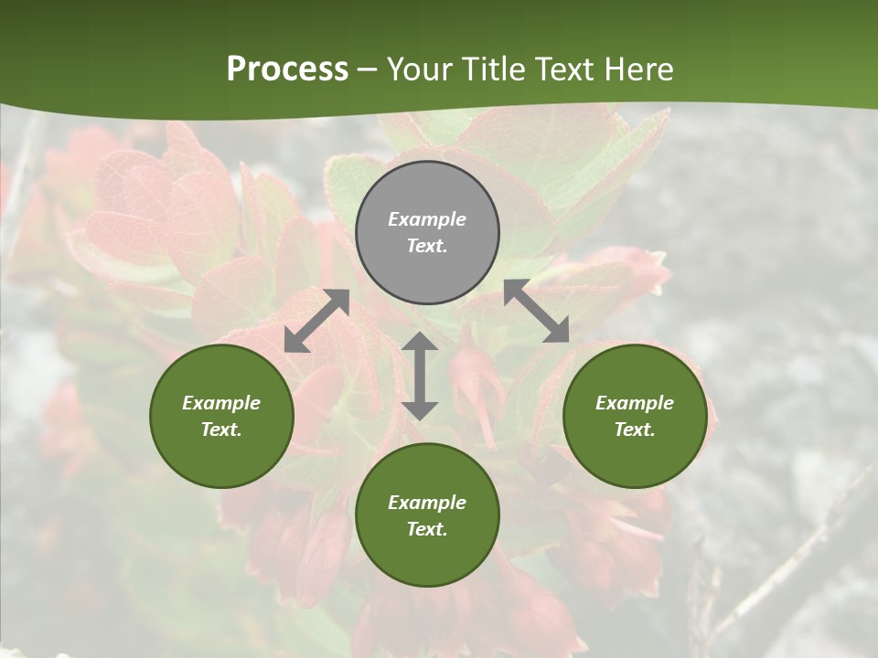 Hilo Hot National PowerPoint Template