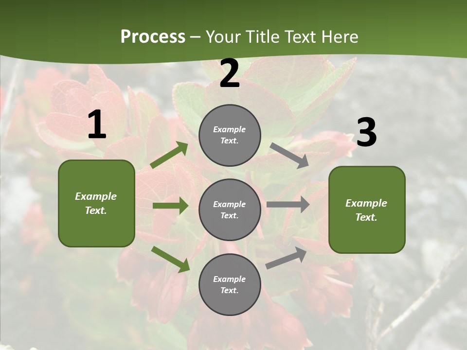 Hilo Hot National PowerPoint Template