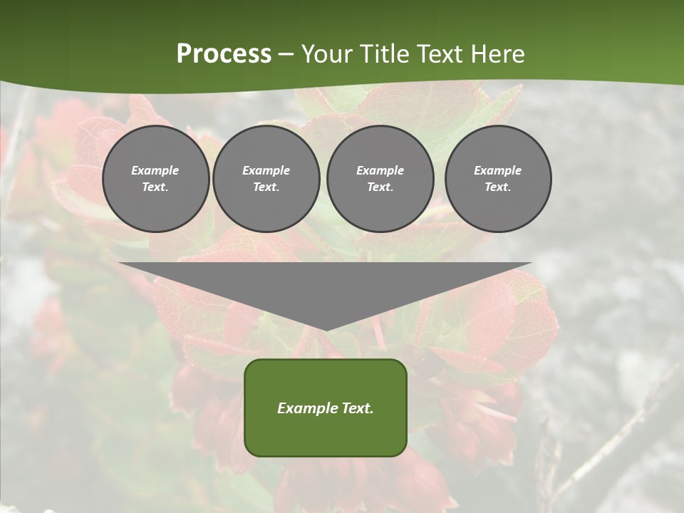Hilo Hot National PowerPoint Template