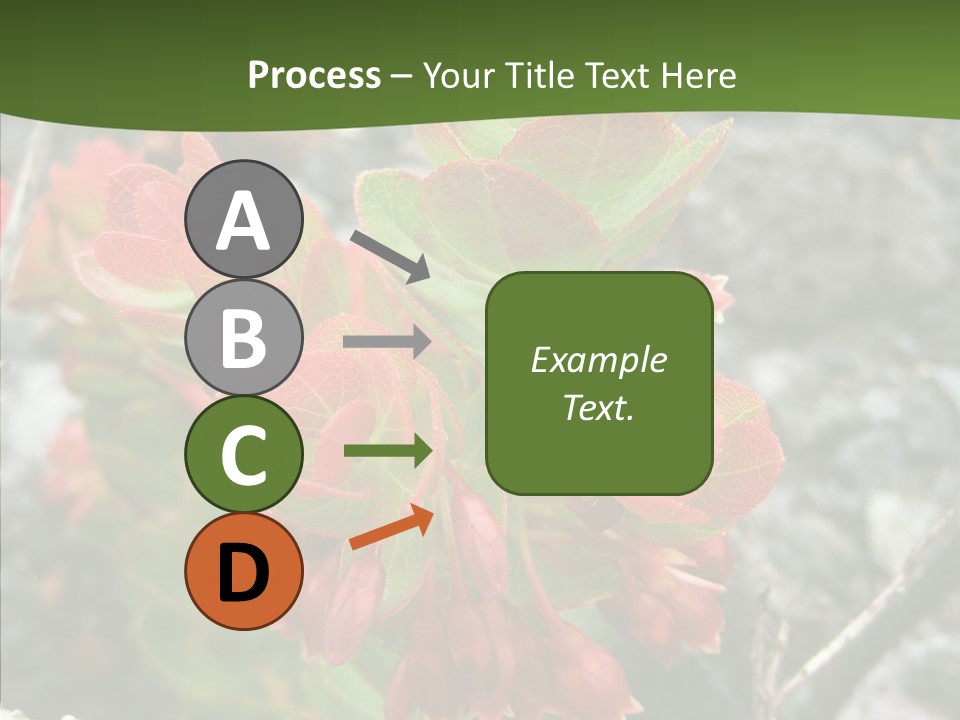 Hilo Hot National PowerPoint Template