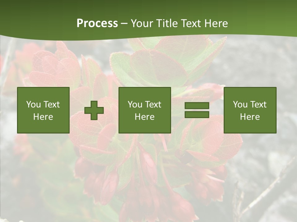 Hilo Hot National PowerPoint Template