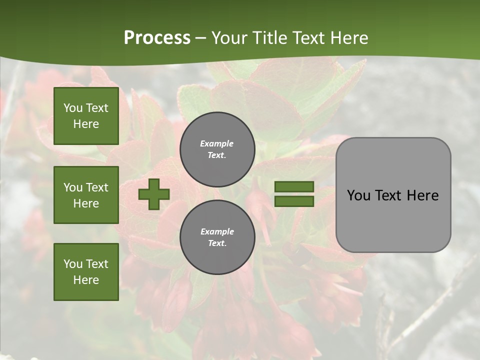 Hilo Hot National PowerPoint Template