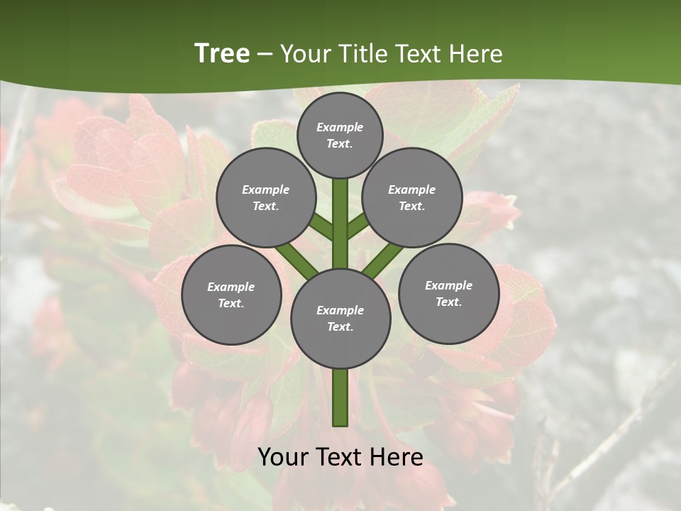 Hilo Hot National PowerPoint Template