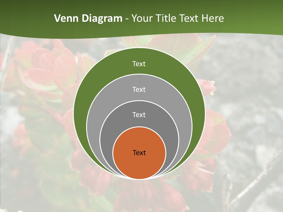 Hilo Hot National PowerPoint Template