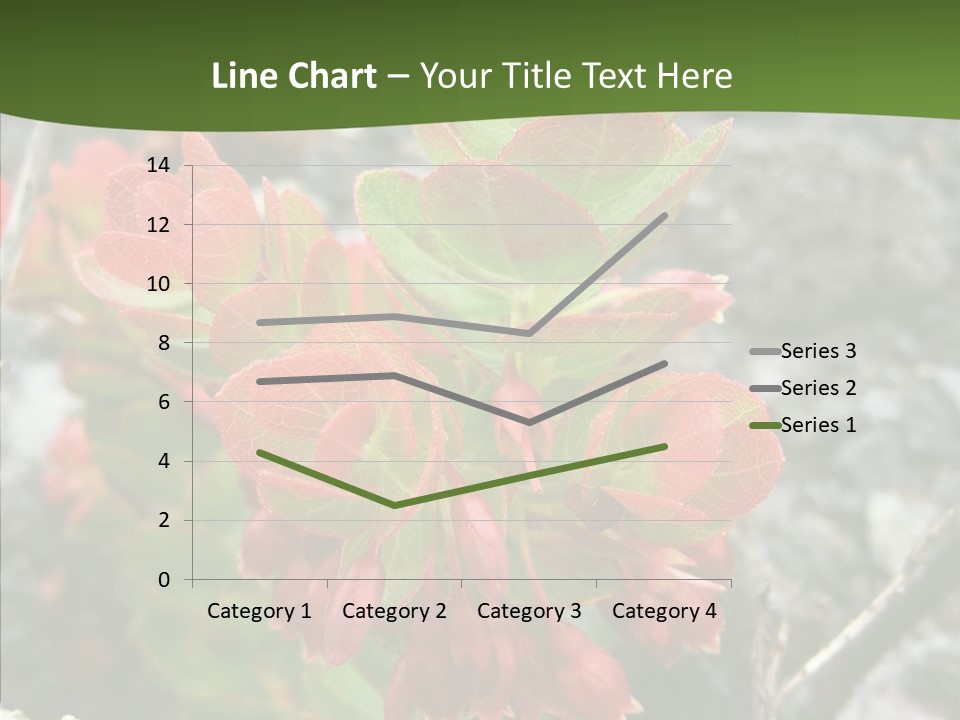 Hilo Hot National PowerPoint Template