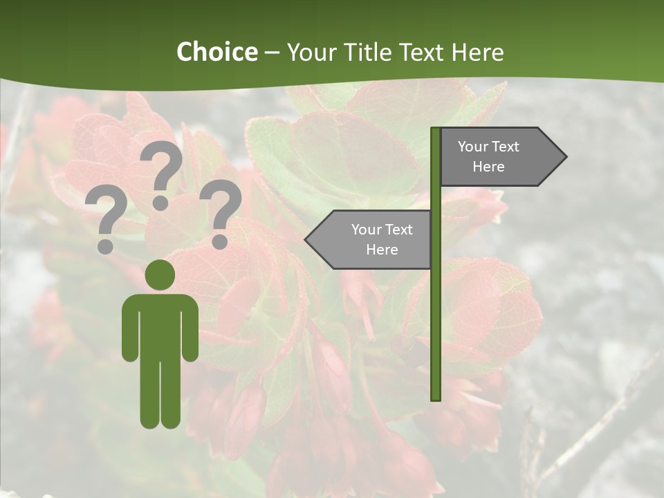 Hilo Hot National PowerPoint Template