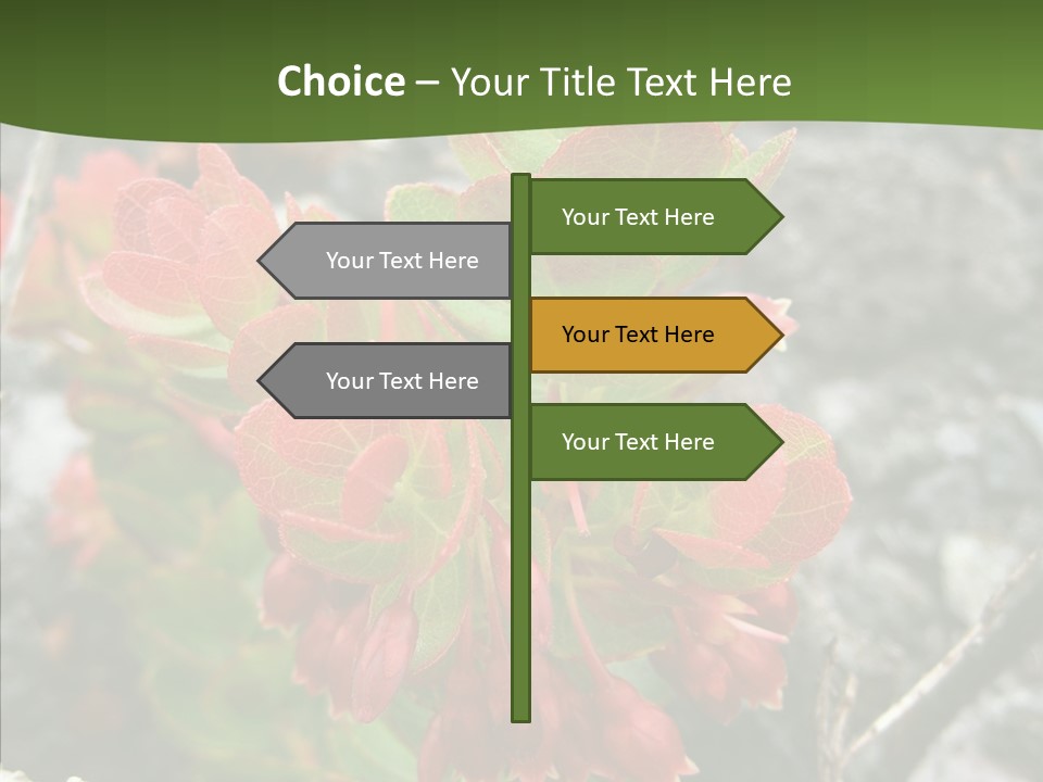 Hilo Hot National PowerPoint Template