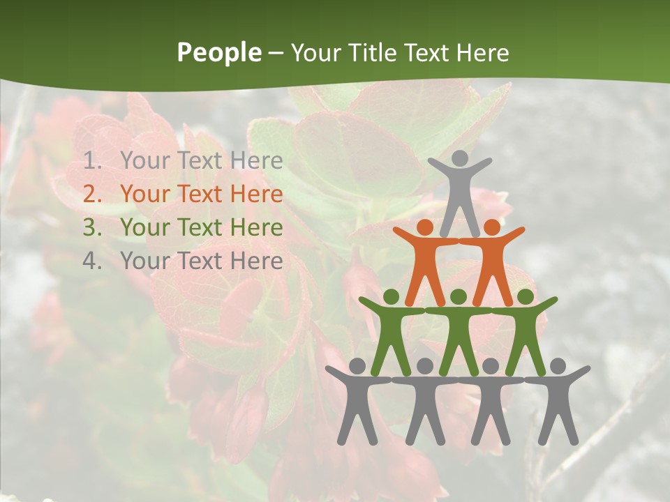 Hilo Hot National PowerPoint Template