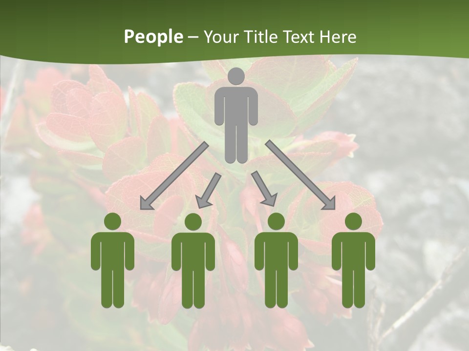 Hilo Hot National PowerPoint Template