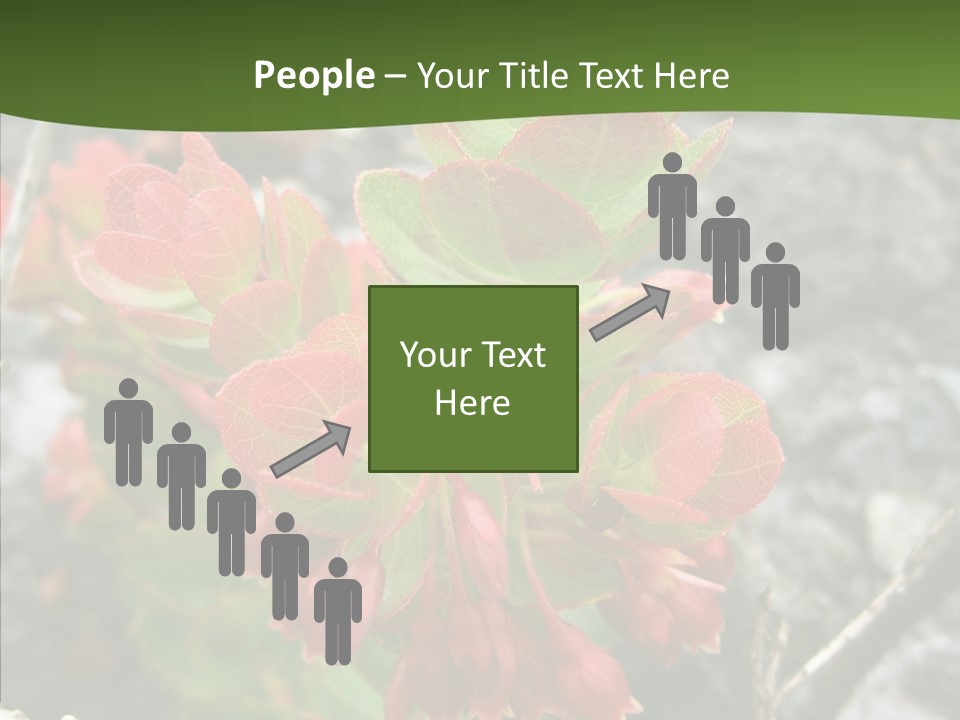 Hilo Hot National PowerPoint Template