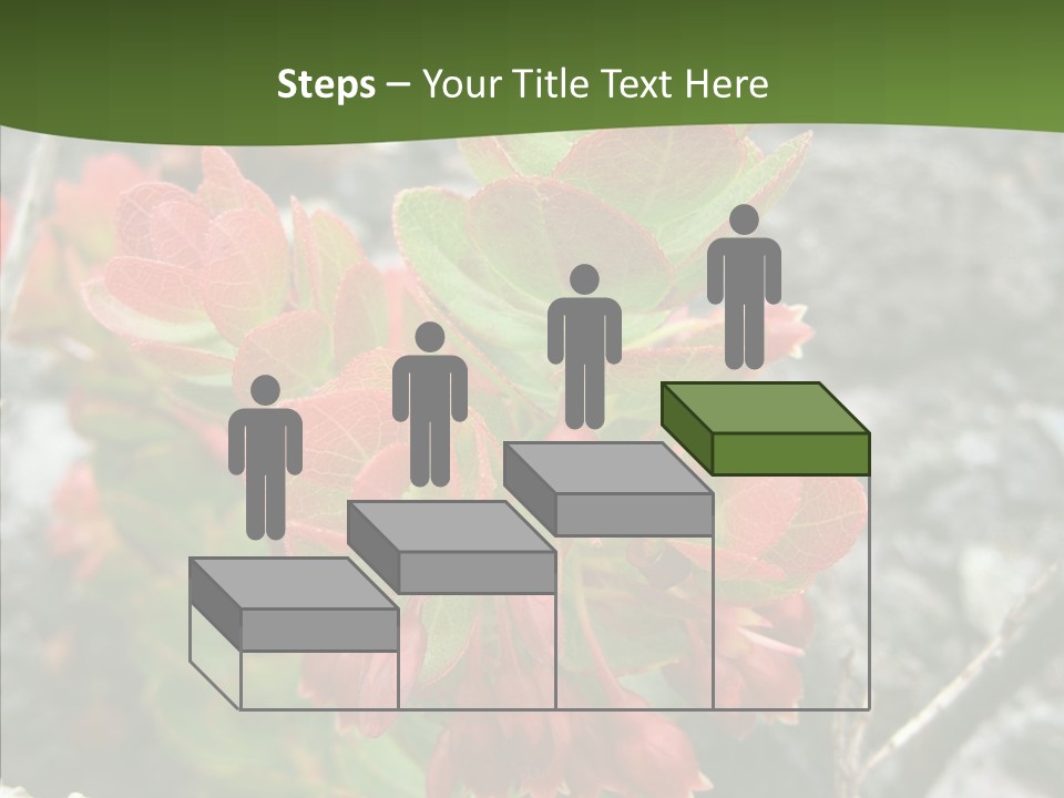 Hilo Hot National PowerPoint Template