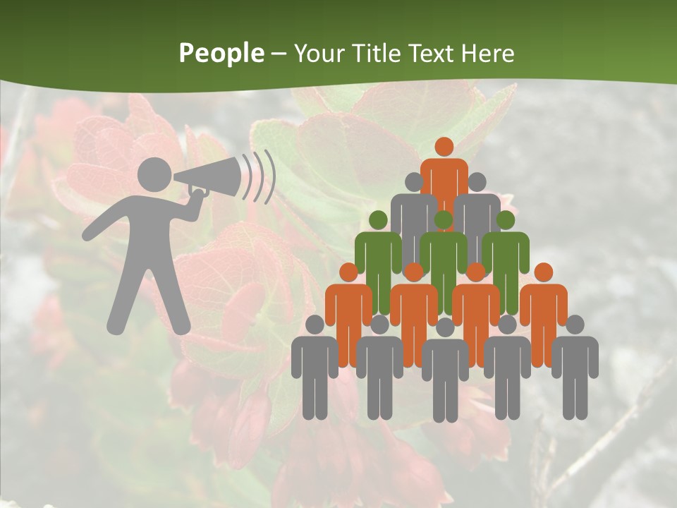 Hilo Hot National PowerPoint Template