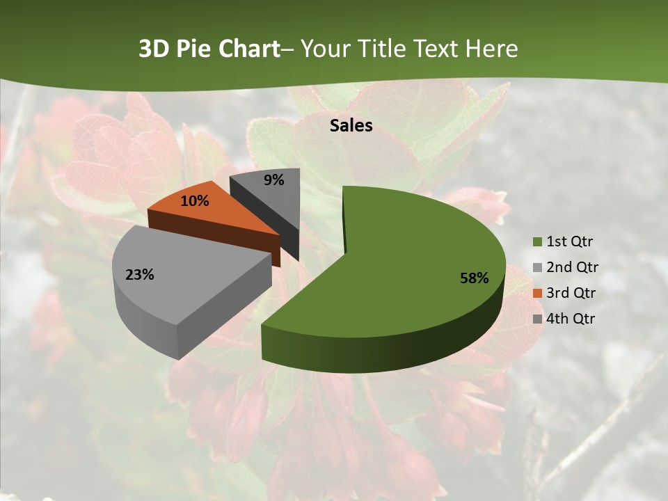 Hilo Hot National PowerPoint Template