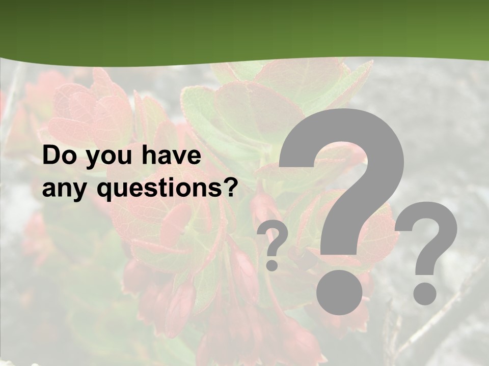 Hilo Hot National PowerPoint Template