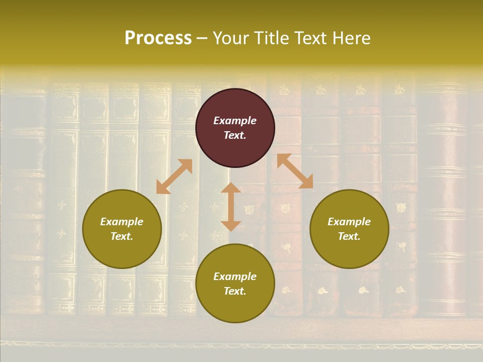 Classic Bibliophile Data PowerPoint Template