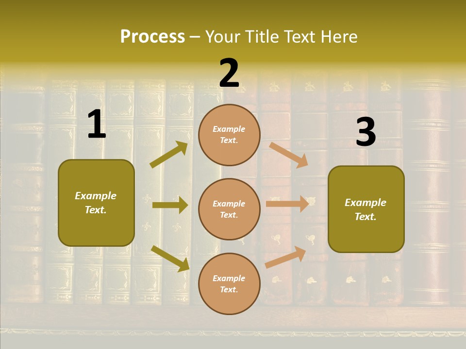 Classic Bibliophile Data PowerPoint Template