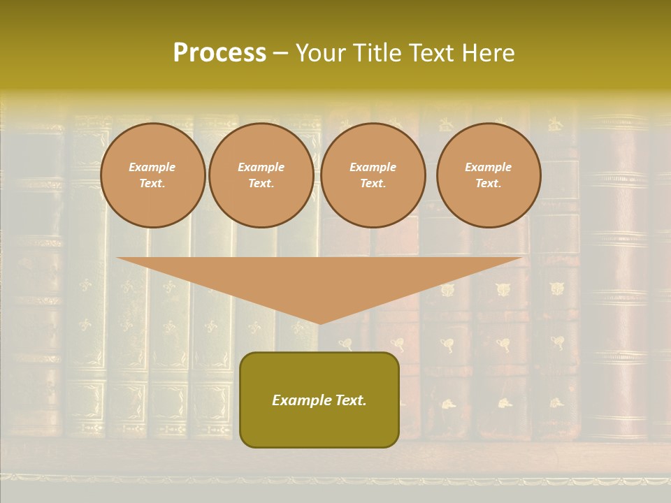 Classic Bibliophile Data PowerPoint Template