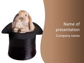 Furry Spring Easter PowerPoint Template