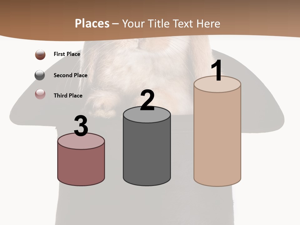 Furry Spring Easter PowerPoint Template