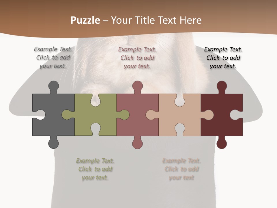 Furry Spring Easter PowerPoint Template